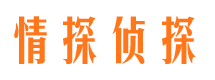 界首侦探